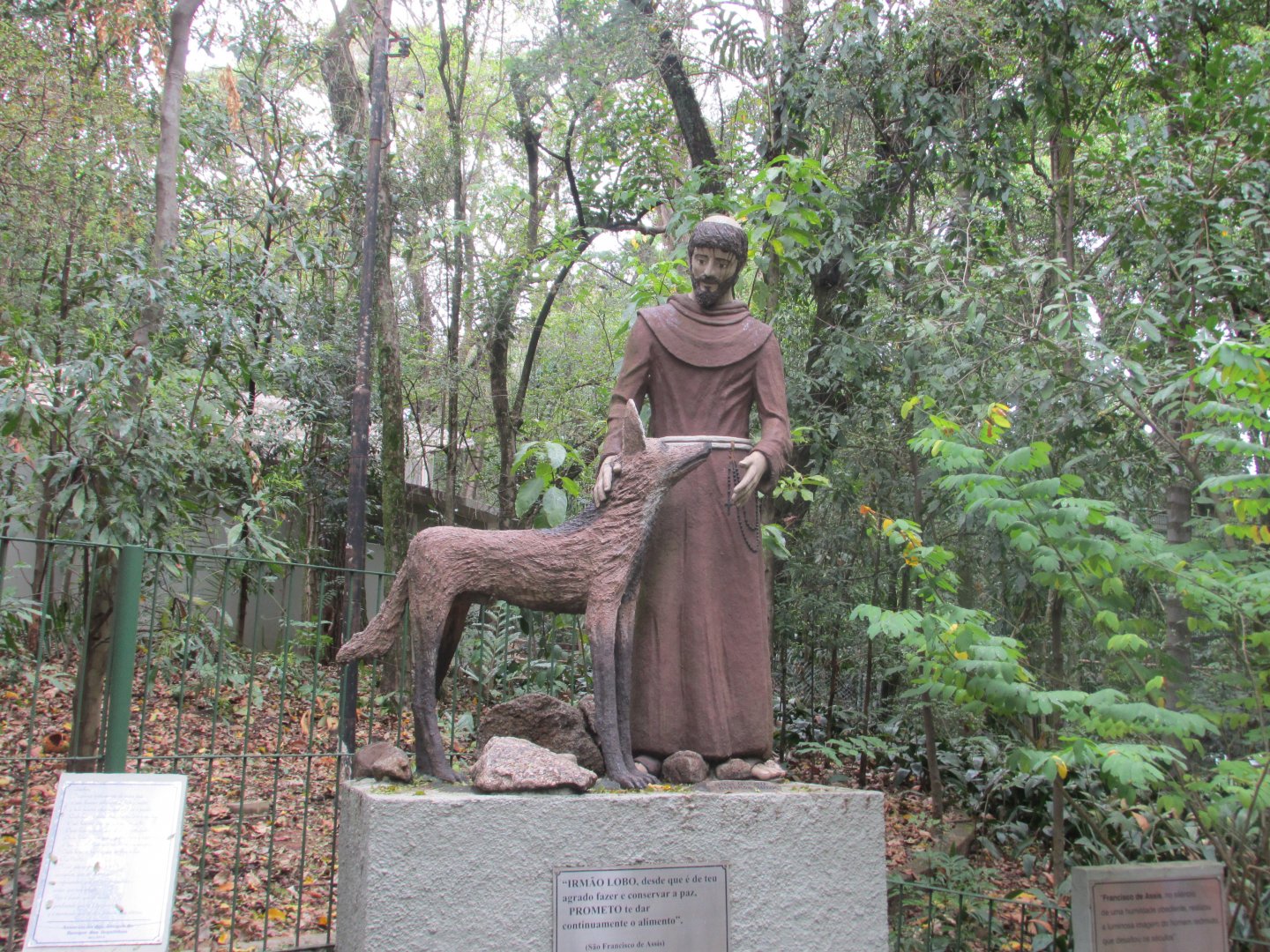 saint francis and brother wolf