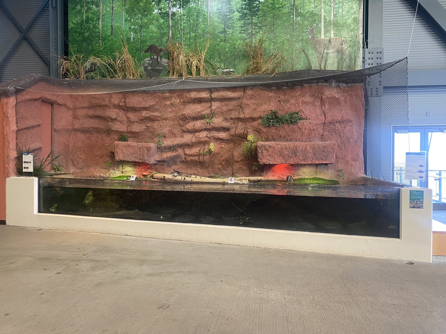 Saint Louis River - Aviary