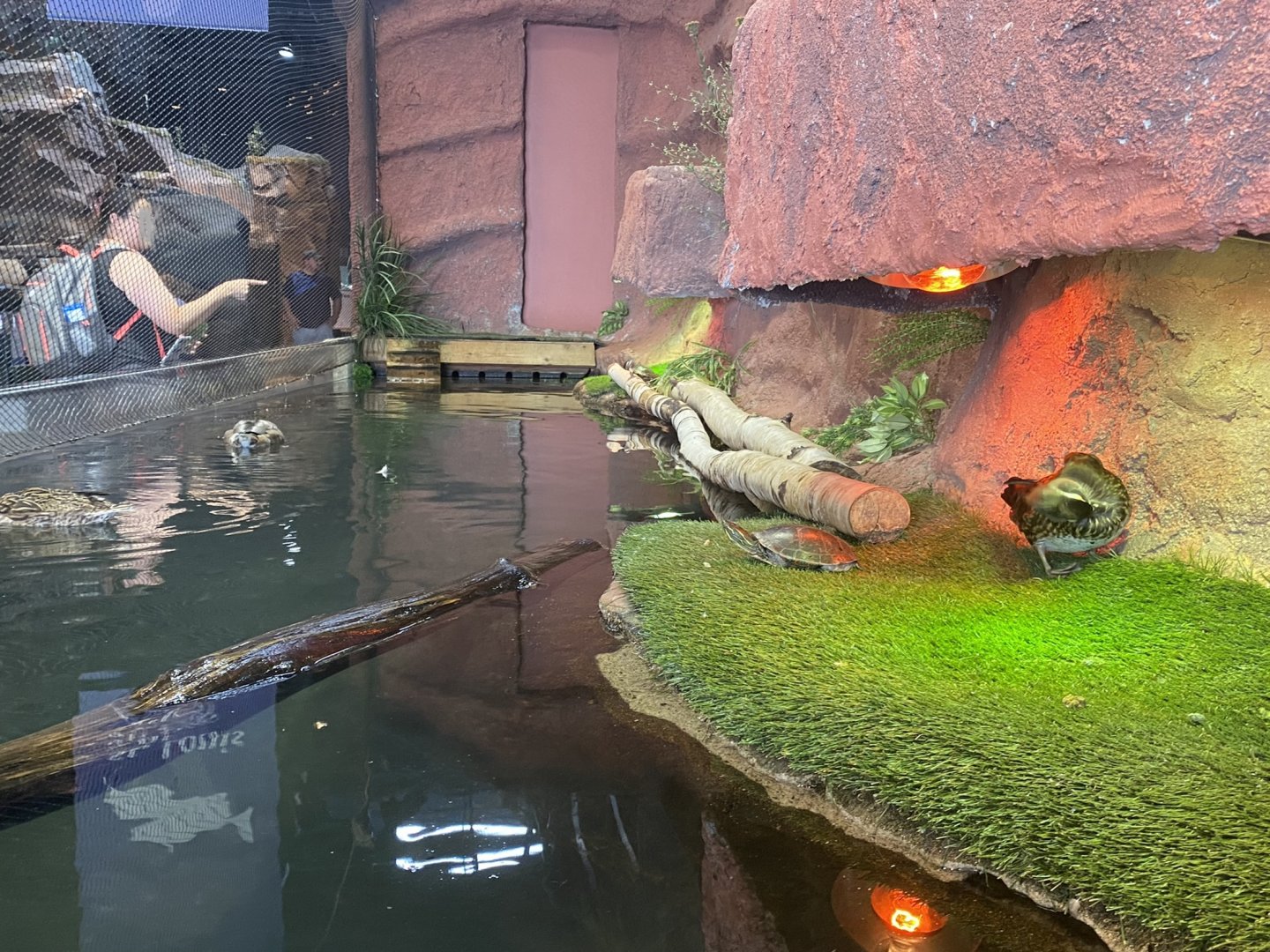Saint Louis River - Mudbank Exhibit