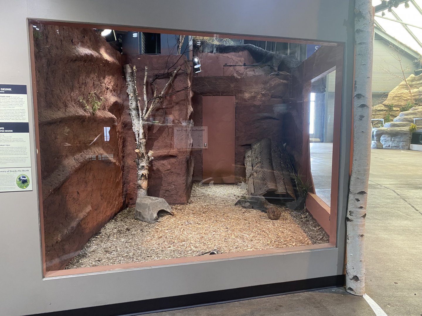 Saint Louis River - Striped Skunk Exhibit