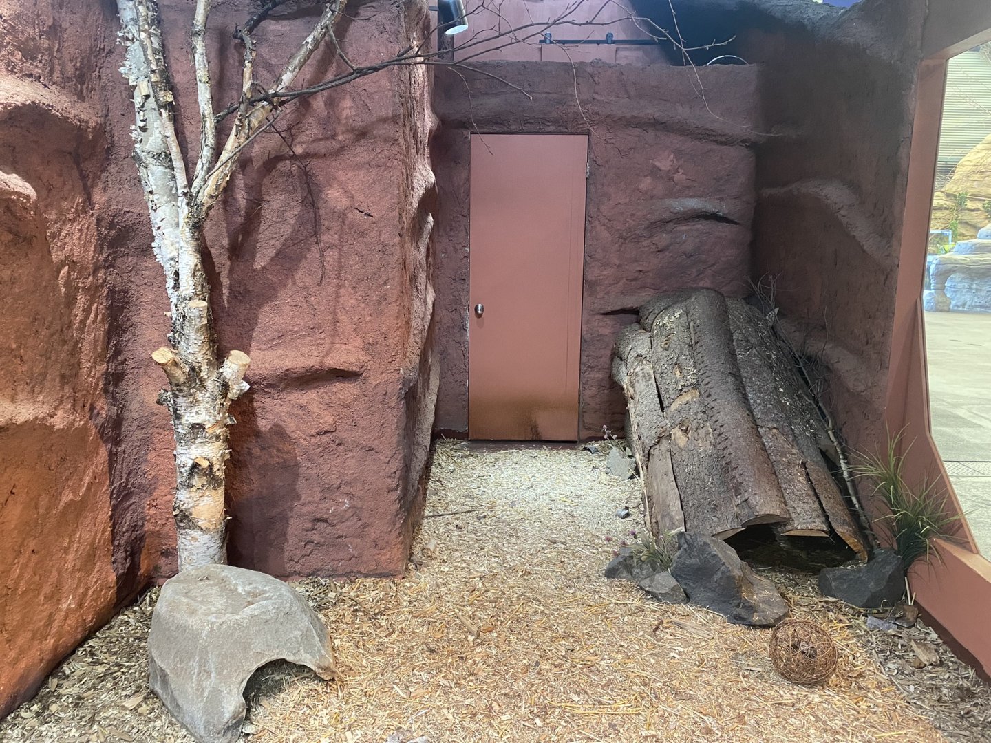 Saint Louis River - Striped Skunk Exhibit