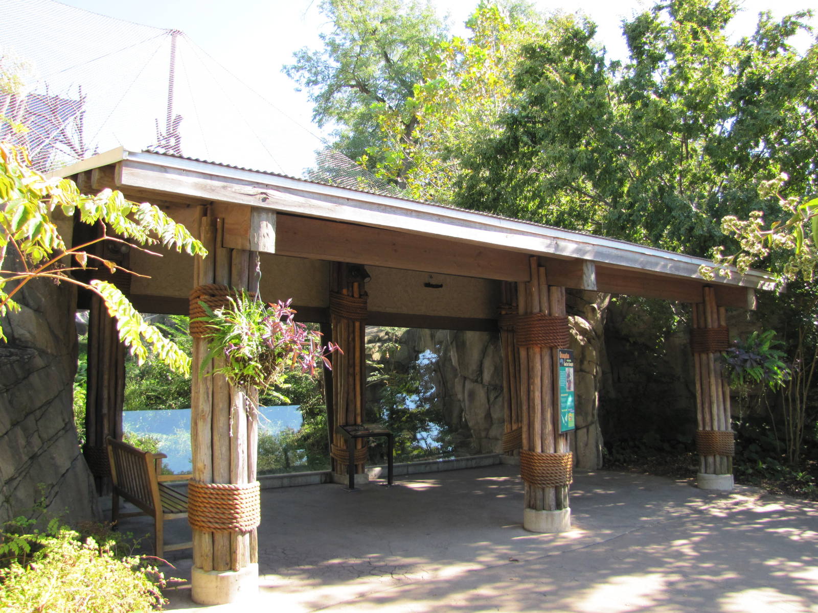 Saint Louis Zoo 2010 - Another Chimpanzee exhibit viewing window