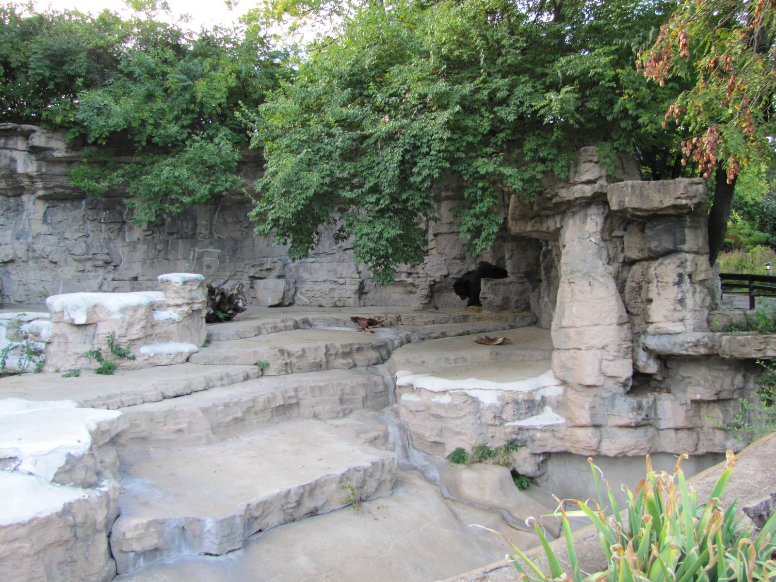 Saint Louis Zoo 2010 - First part of Grizzly Bear grotto