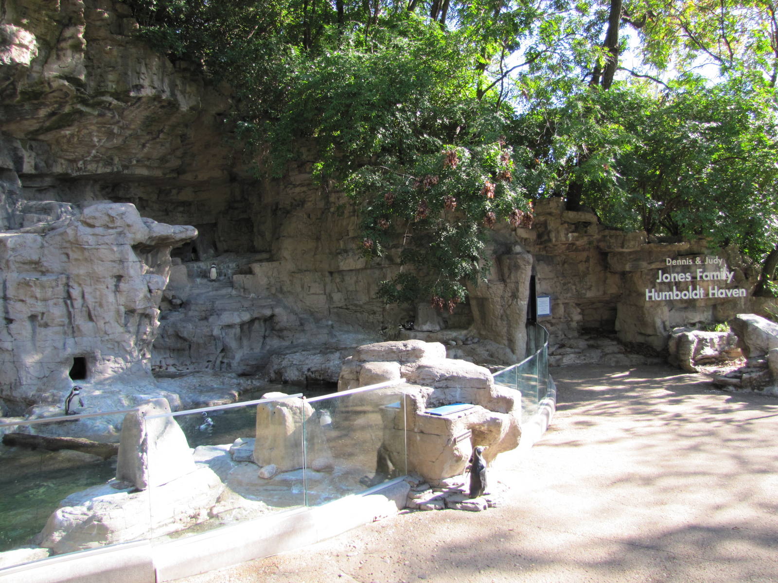 Saint Louis Zoo 2010 - Front of Humboldt Penguin exhibit