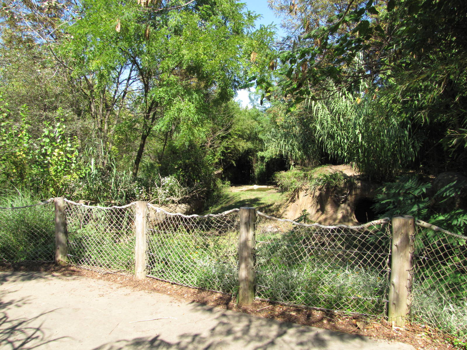 Saint Louis Zoo 2010 - Front of Spotted Hyena exhibit in Rivers Edge