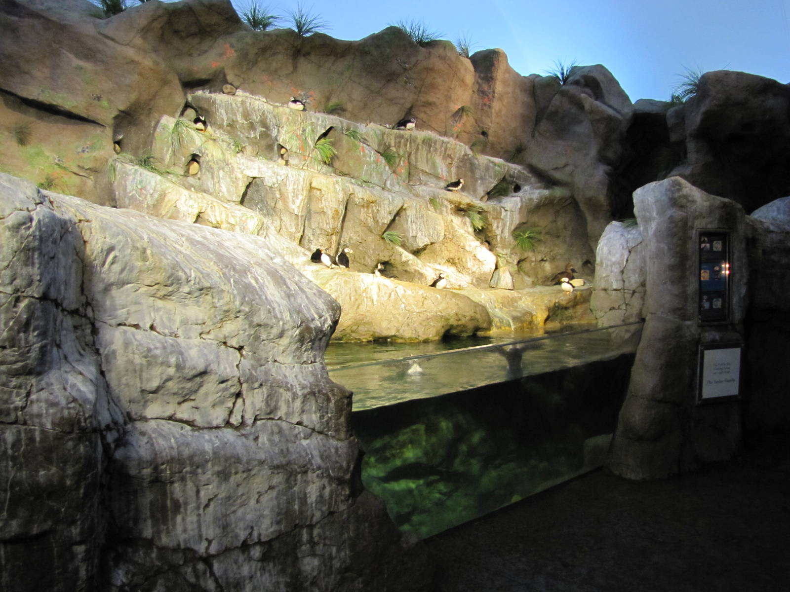 Saint Louis Zoo 2010 - General view inside Penguin and Puffin Coast