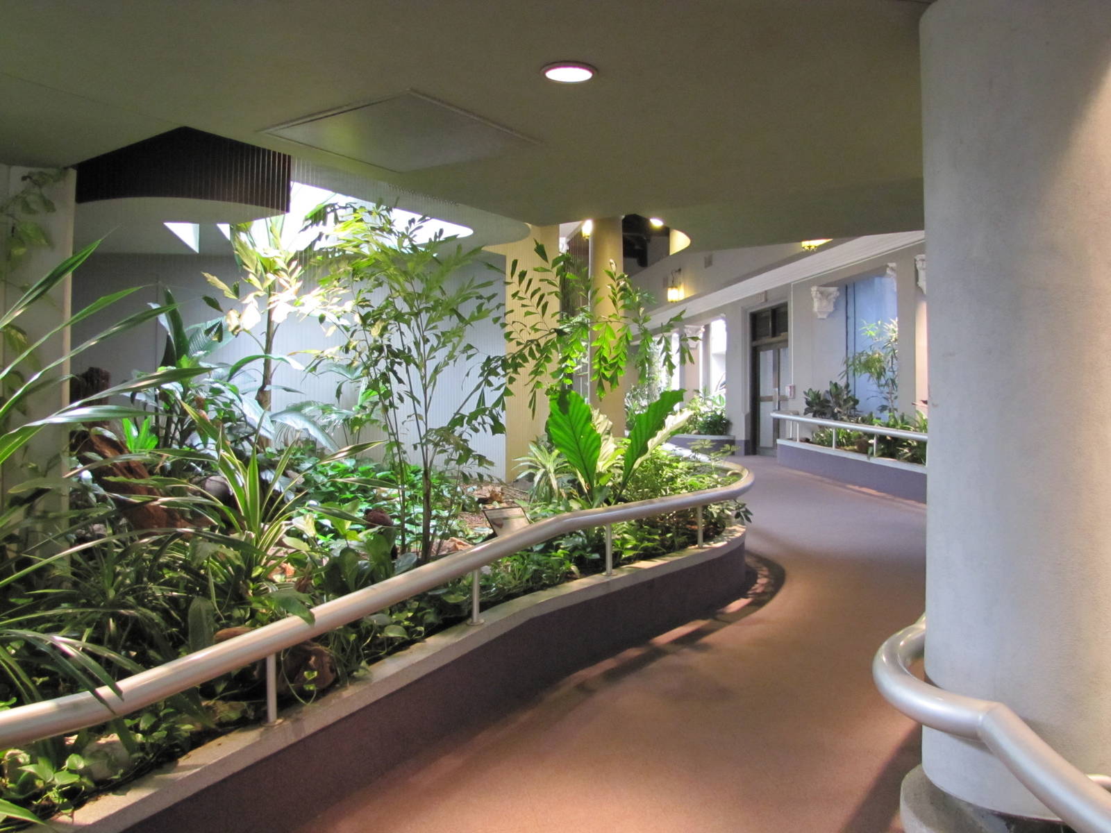 Saint Louis Zoo 2010 - General view inside the Bird House