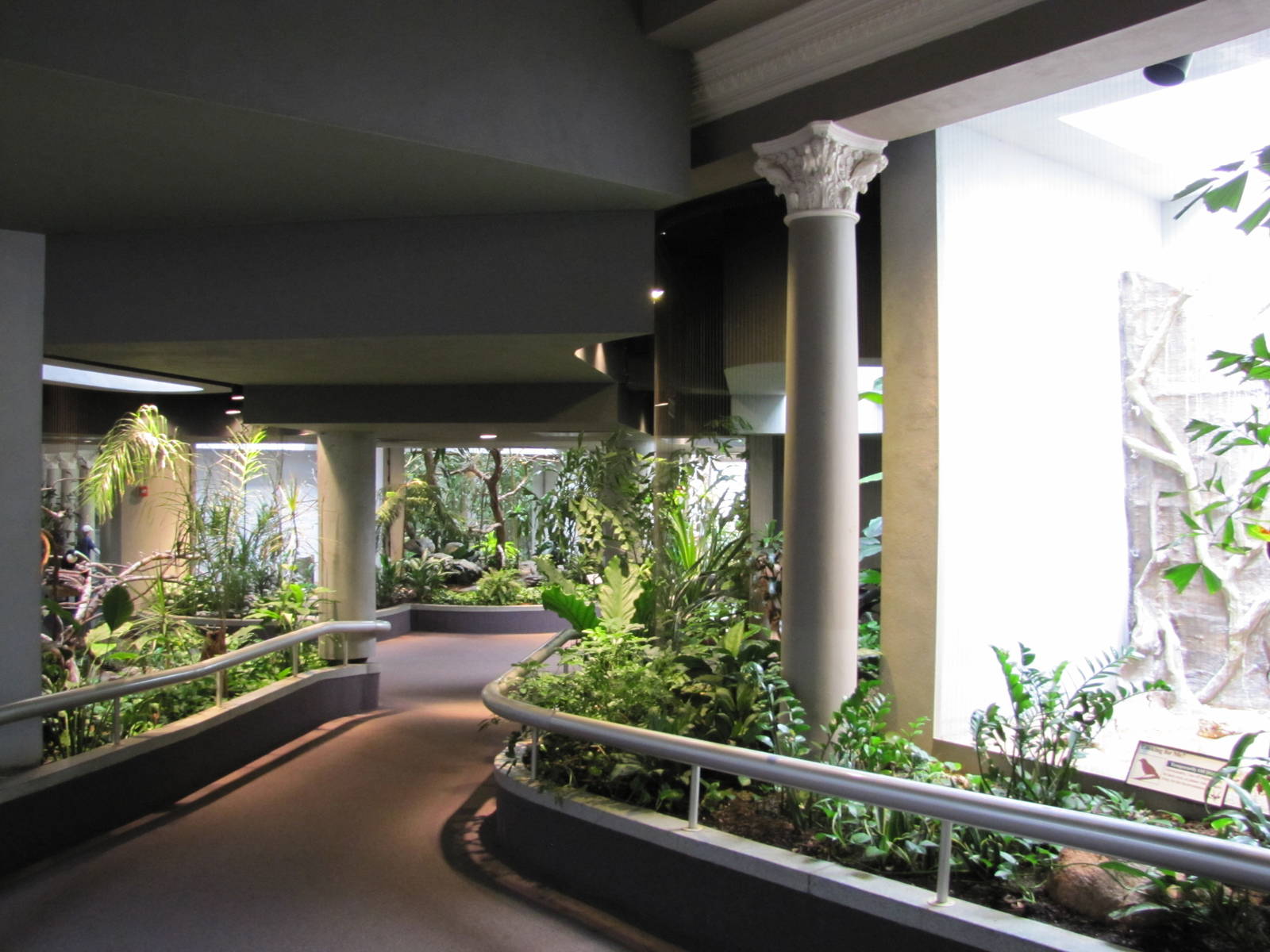 Saint Louis Zoo 2010 - General view inside the Bird House