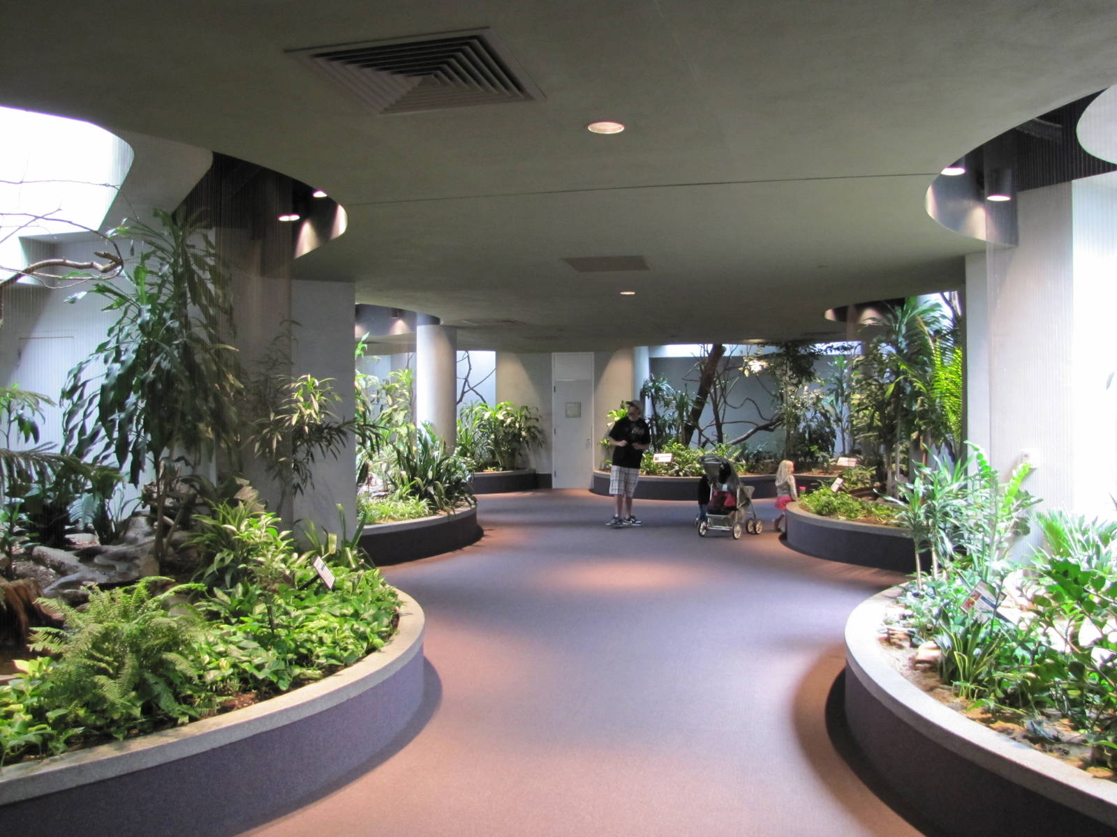 Saint Louis Zoo 2010 - General view inside the Bird House