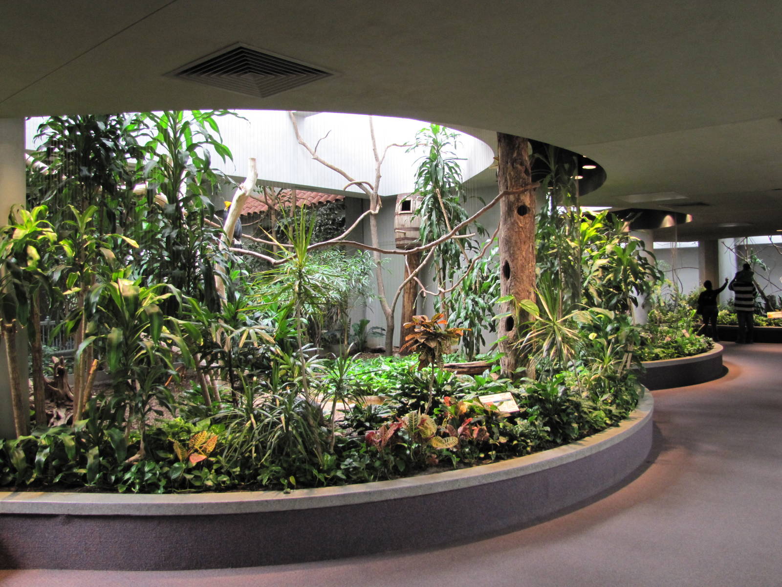 Saint Louis Zoo 2010 - General view inside the Bird House