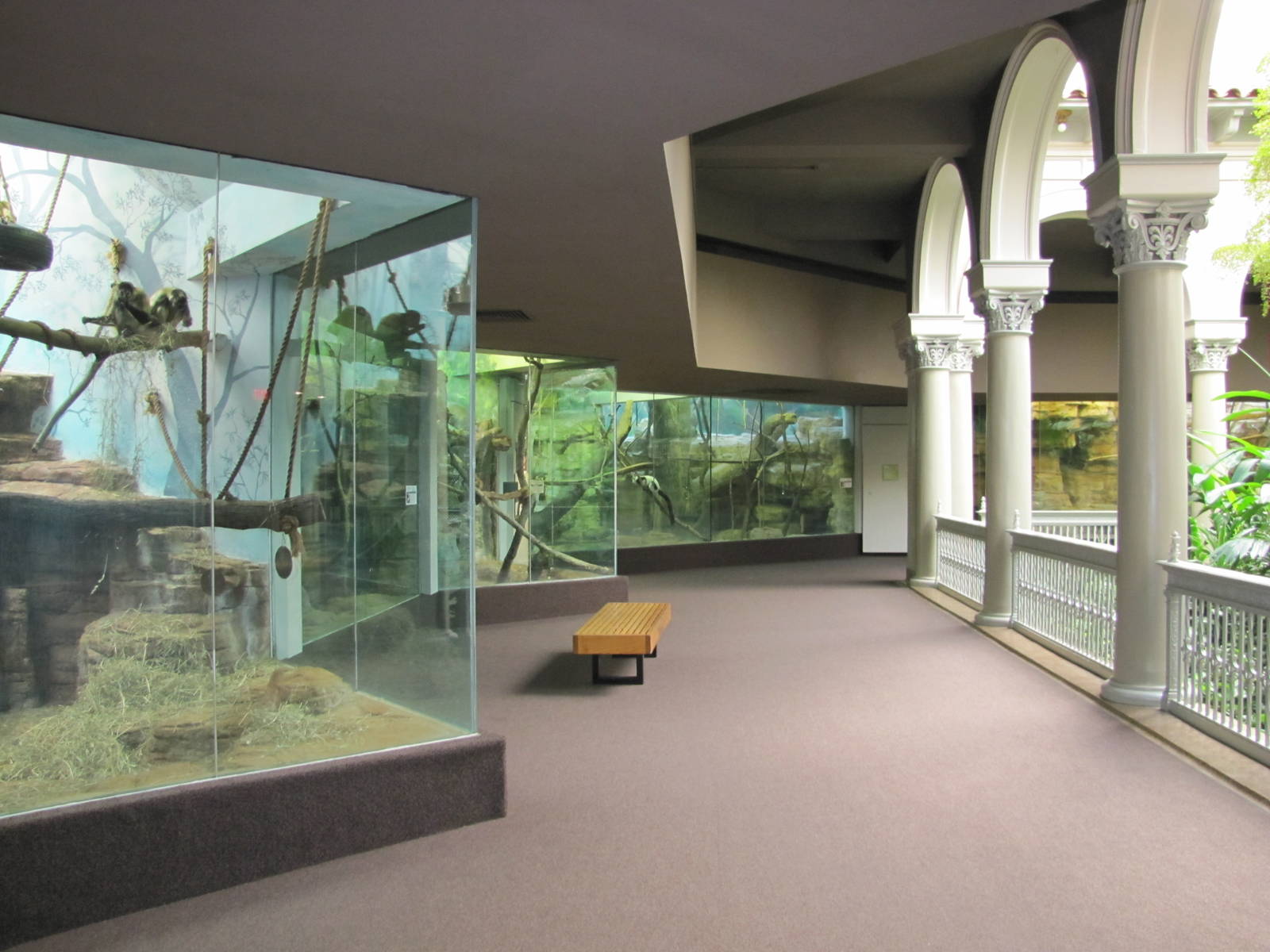 Saint Louis Zoo 2010 - General view inside the Historic Primate House