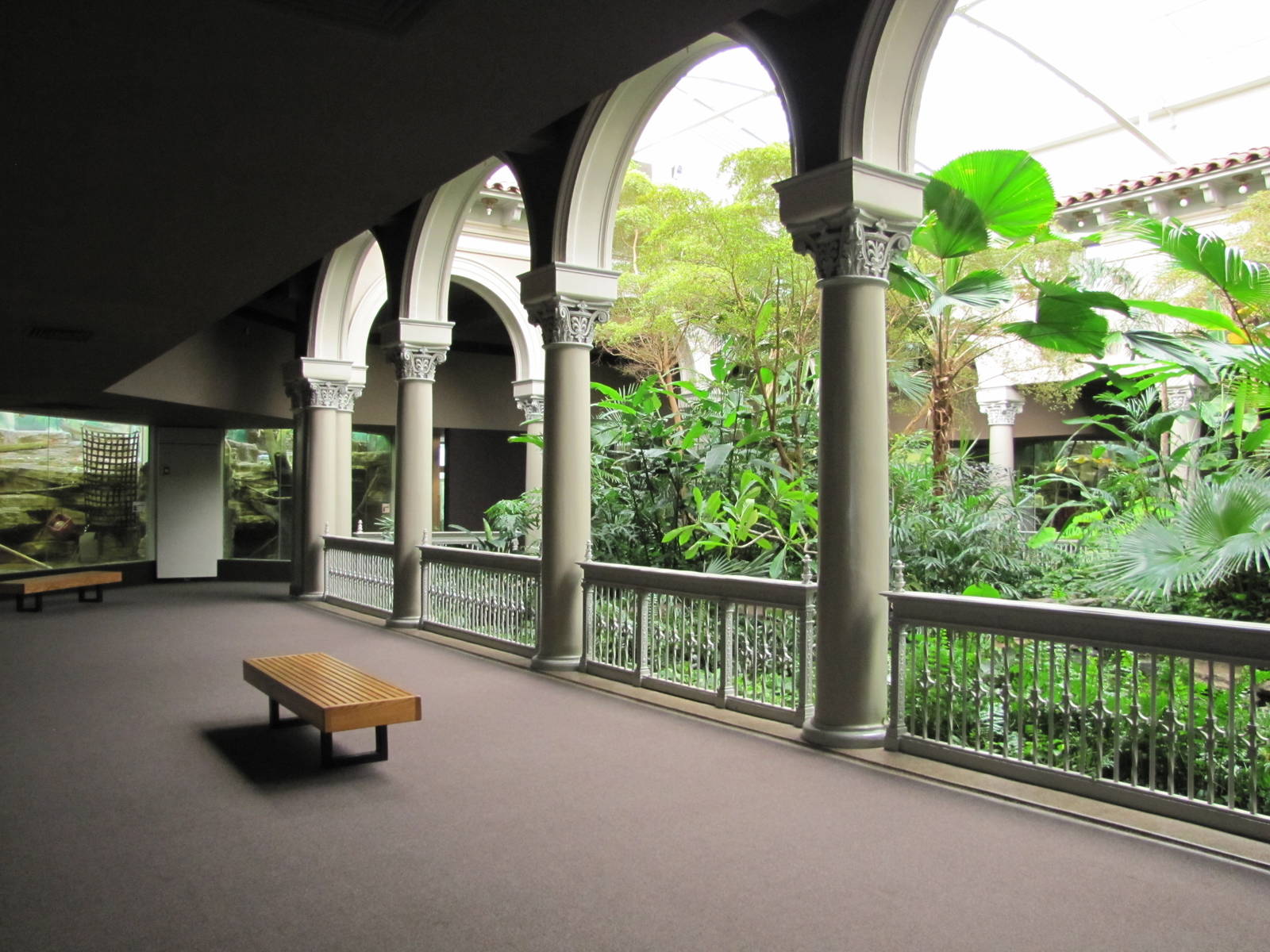 Saint Louis Zoo 2010 - General view inside the Historic Primate House