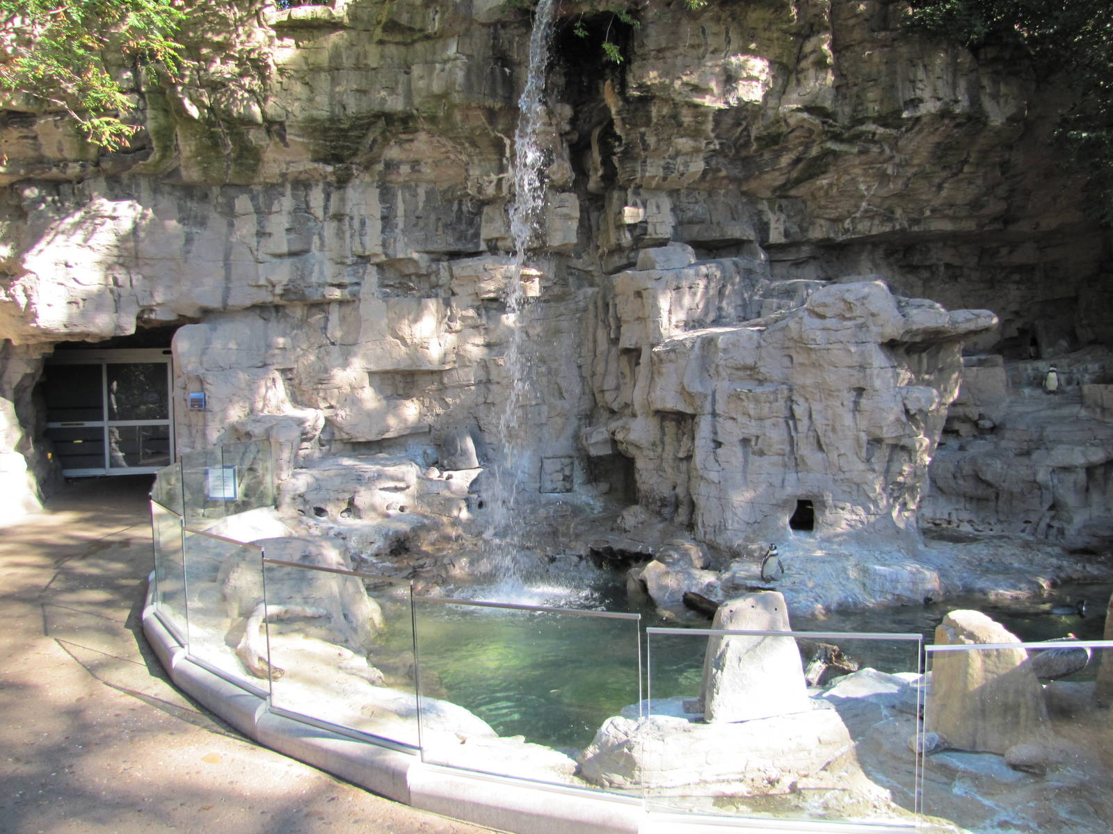 Saint Louis Zoo 2010 - Humboldt Penguin exhibit and Antarctic building