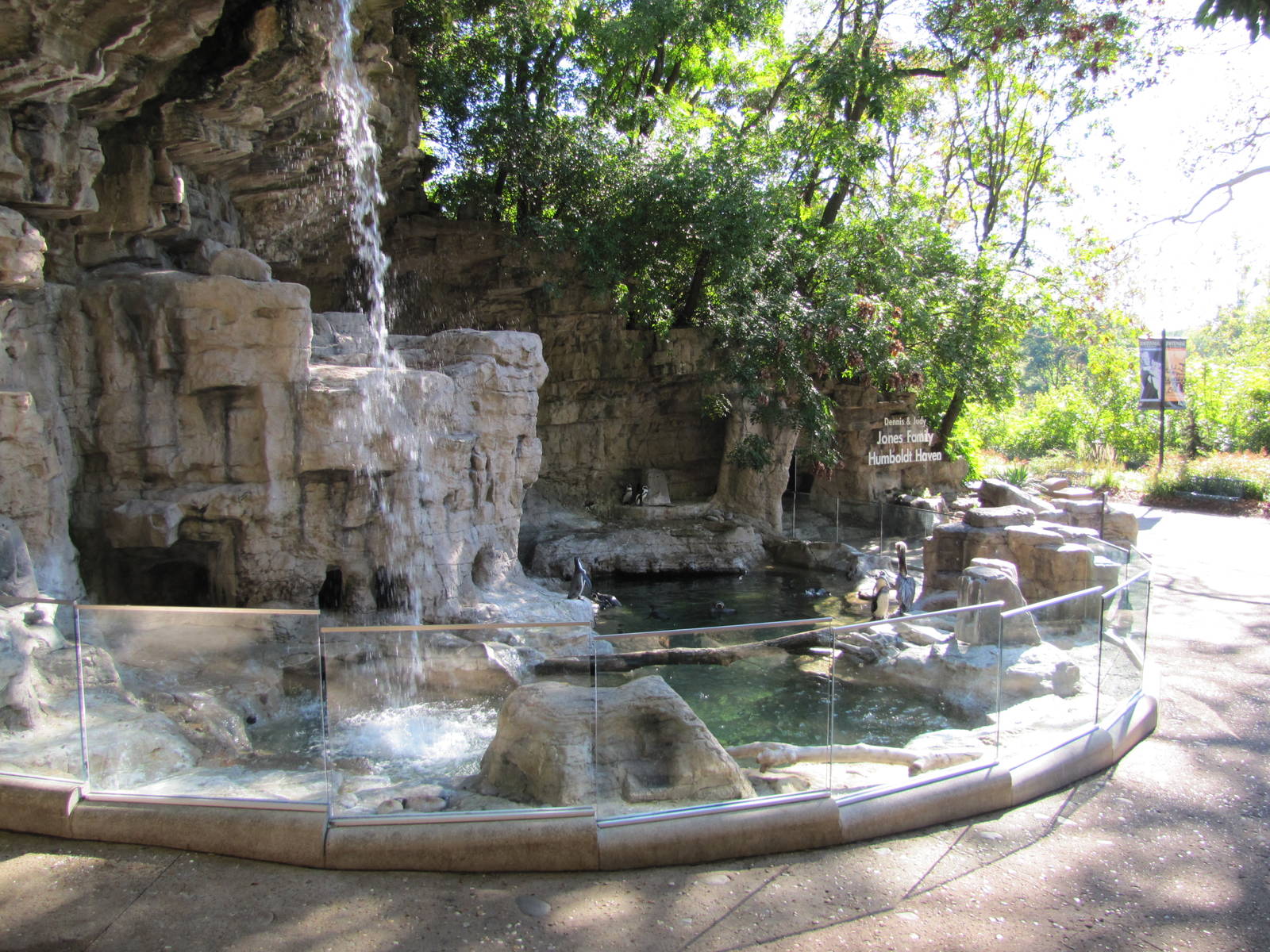 Saint Louis Zoo 2010 - Humboldt Penguin exhibit