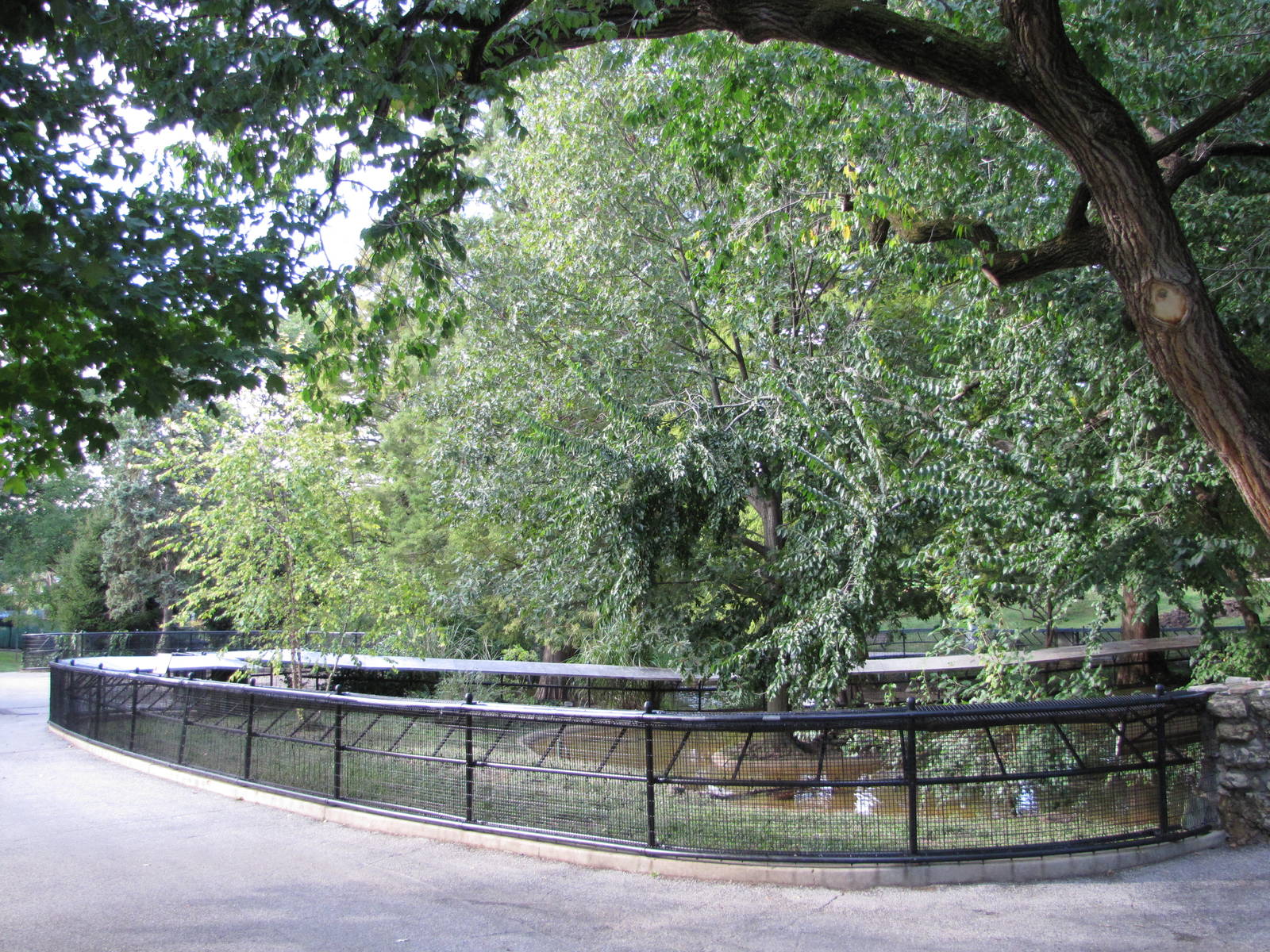 Saint Louis Zoo 2010 - North American River Otter exhibit