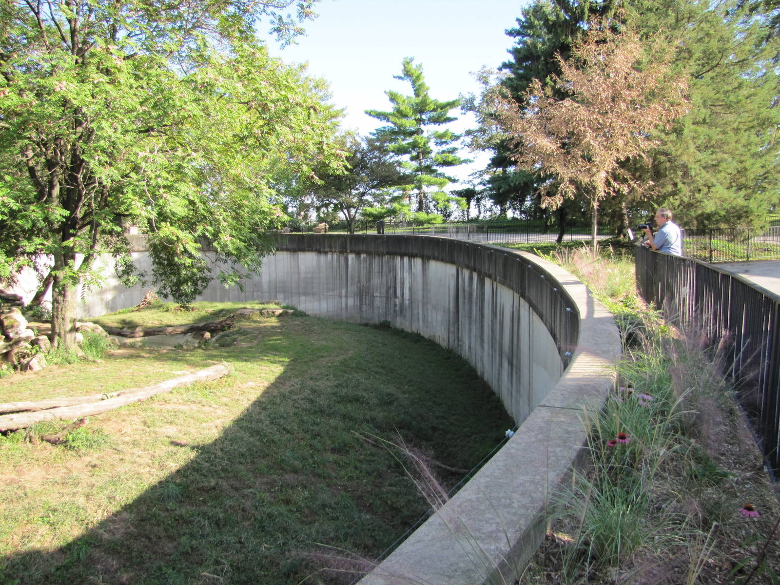 Saint Louis Zoo 2010 - Part of African Lion exhibit in Big Cat Country