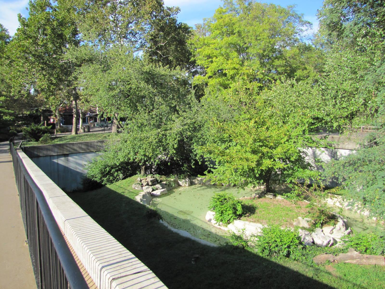 Saint Louis Zoo 2010 - Part of amazing open-top Jaguar exhibit in Big Cat C