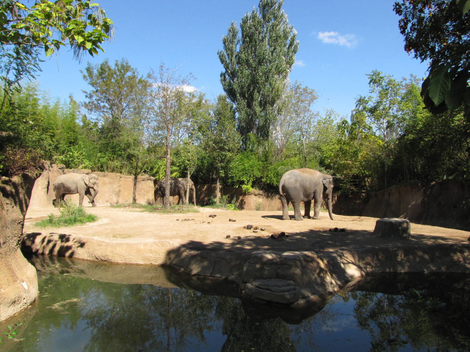 Saint Louis Zoo 2010 - Part of Asiatic Elephant exhibit in Rivers Edge
