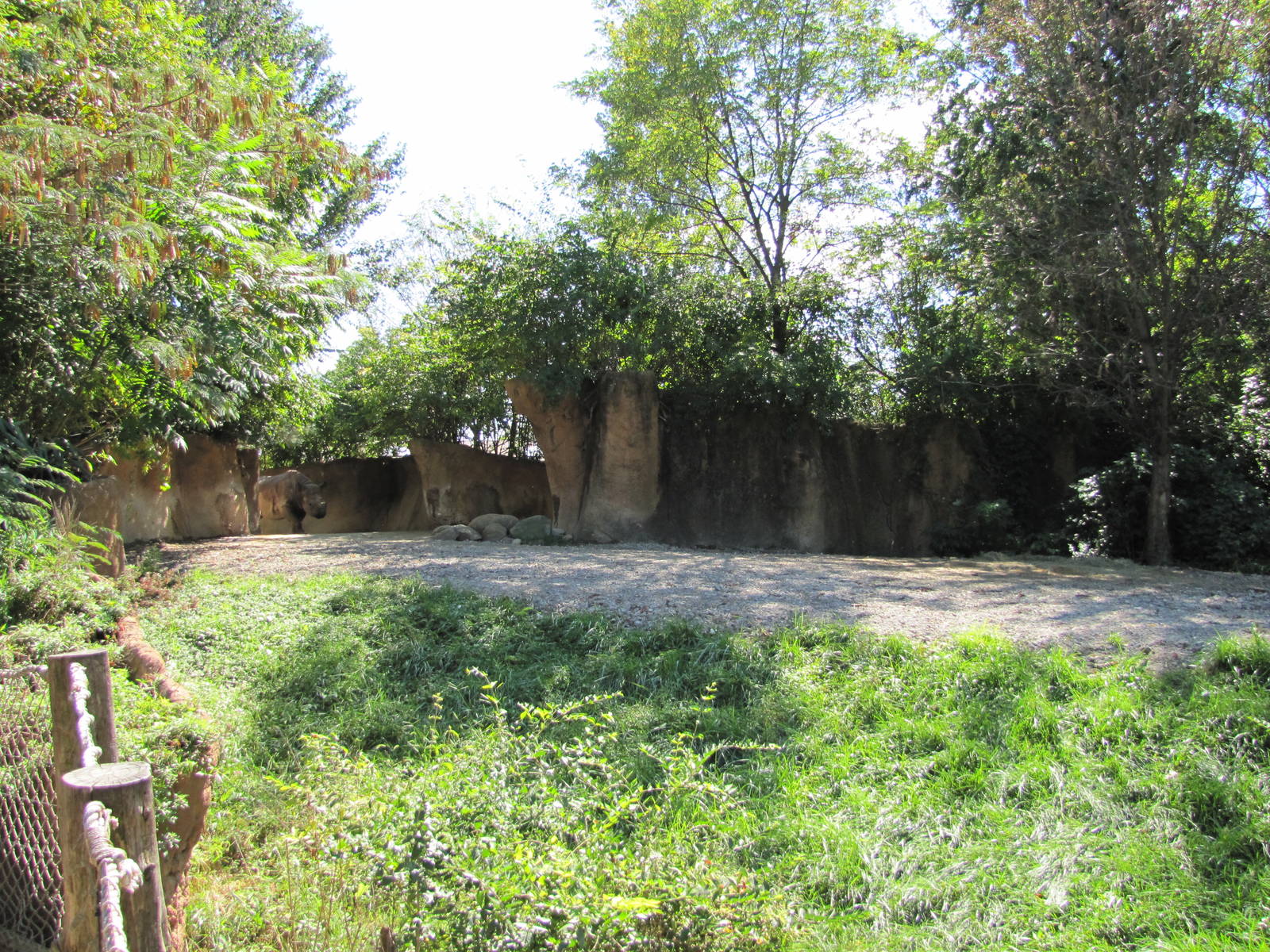 Saint Louis Zoo 2010 - Part of Black Rhino exhibit in Rivers Edge