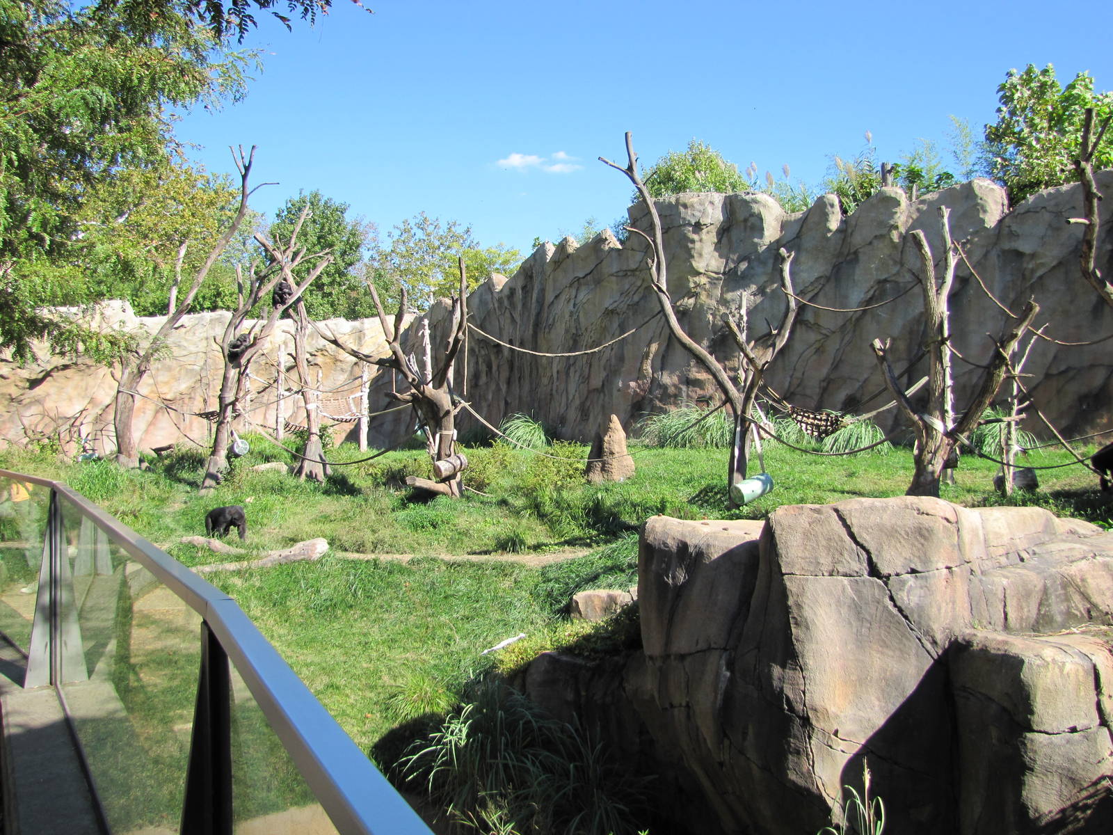 Saint Louis Zoo 2010 - Part of Chimpanzee exhibit