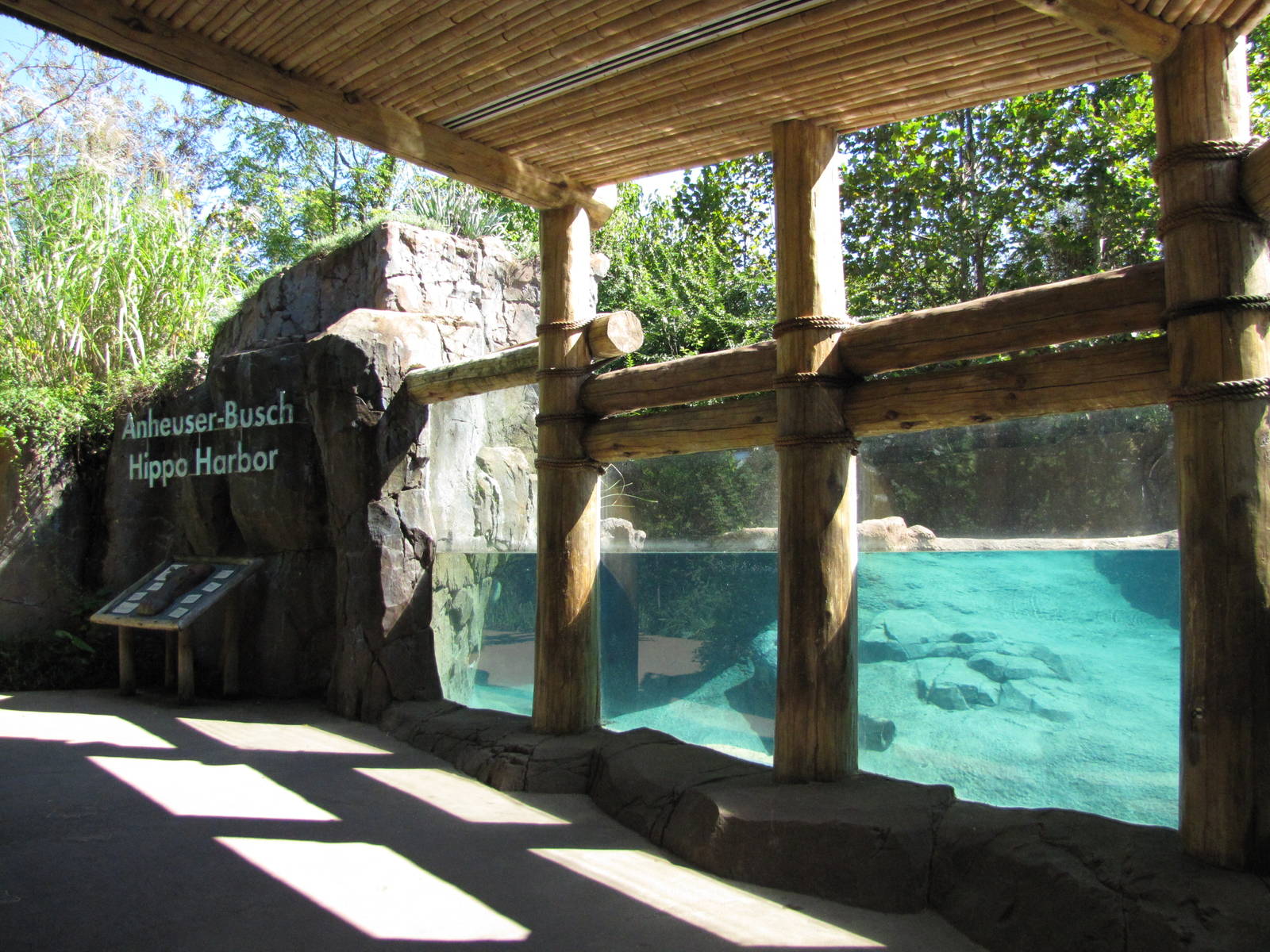 Saint Louis Zoo 2010 - Part of Common Hippopotamus exhibit in Rivers Edge