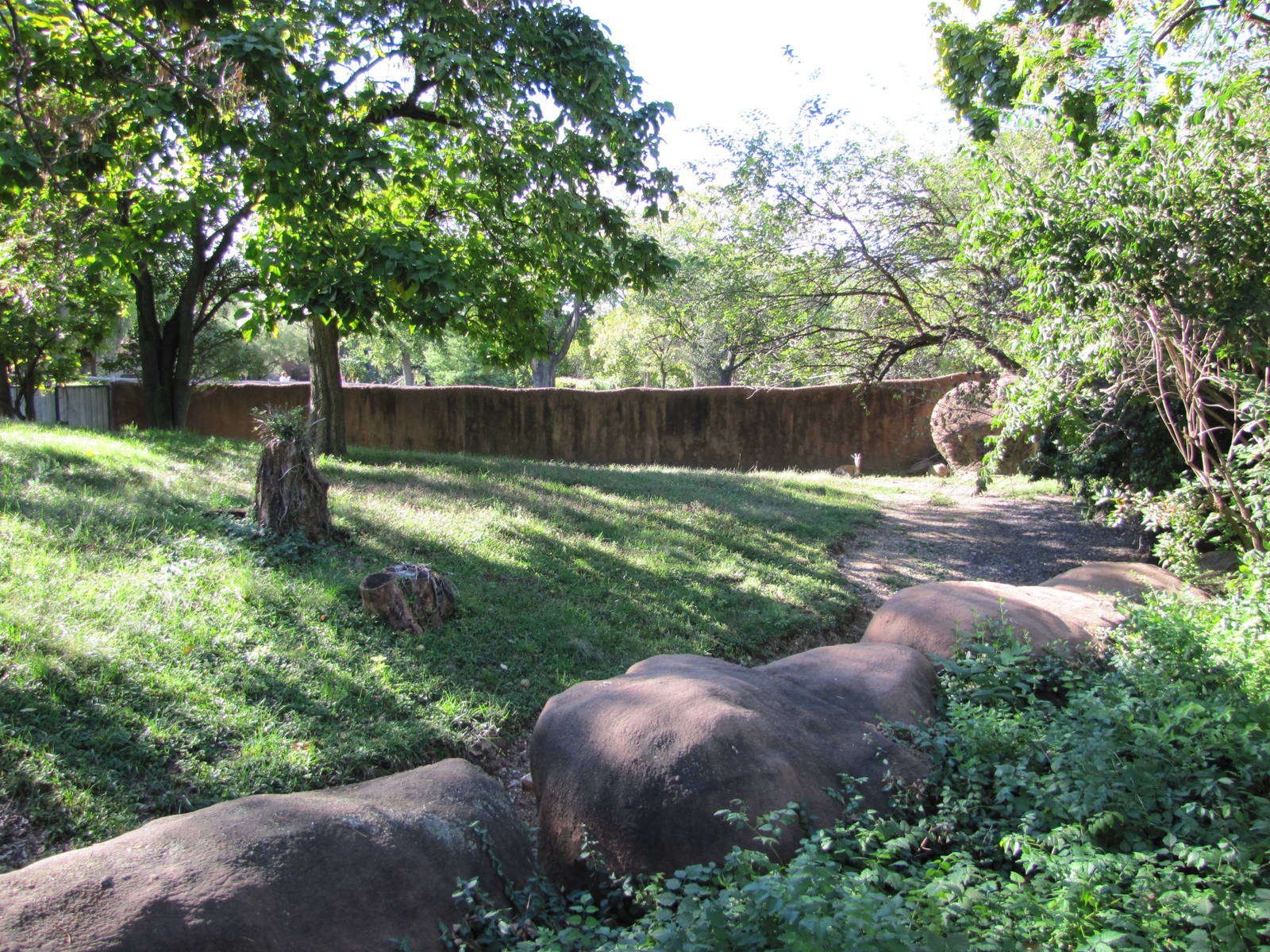 Saint Louis Zoo 2010 - Part of Soemmerrings Gazelle exhibit in Red Rocks