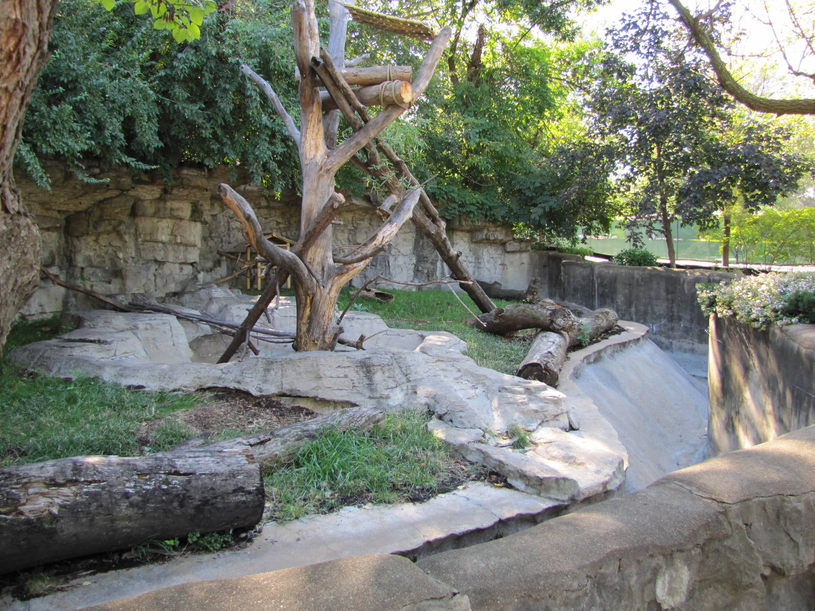 Saint Louis Zoo 2010 - Red Panda exhibit