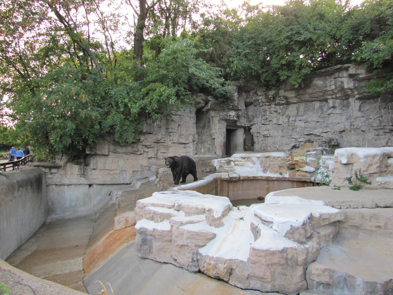 Saint Louis Zoo 2010 - Second part of Grizzly Bear grotto