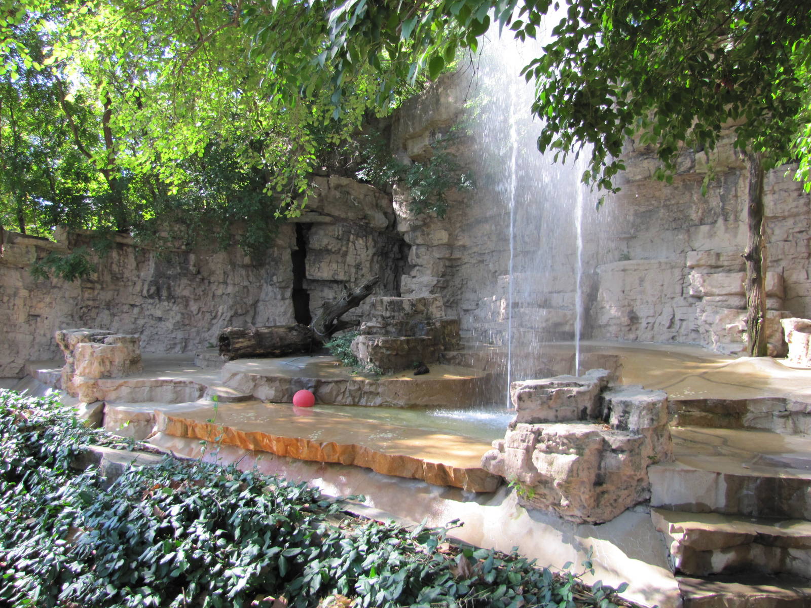 Saint Louis Zoo 2010 - Spectacled Bear grotto
