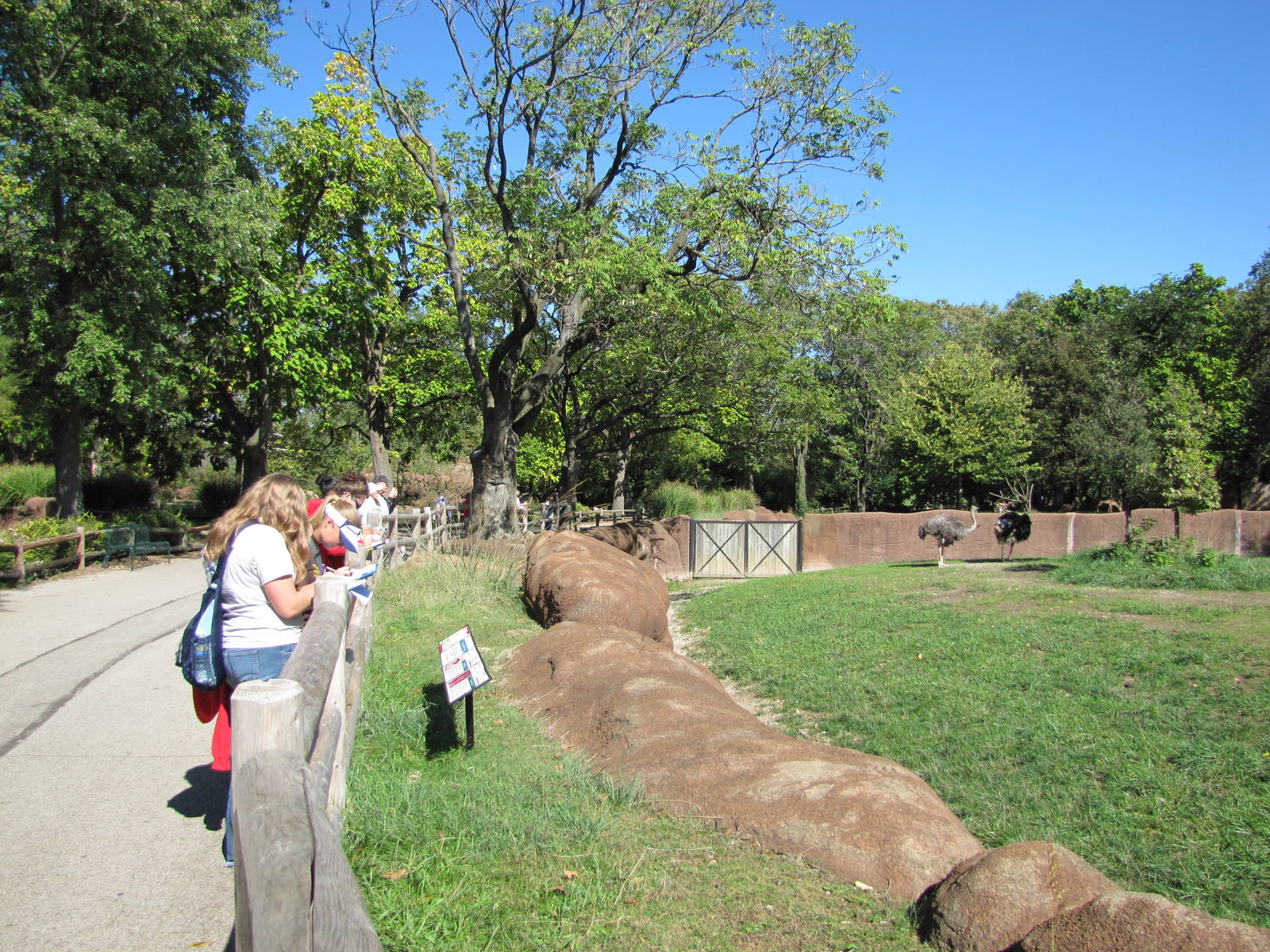 Saint Louis Zoo 2010 - Visitors by Ostrich exhibit in Red Rocks