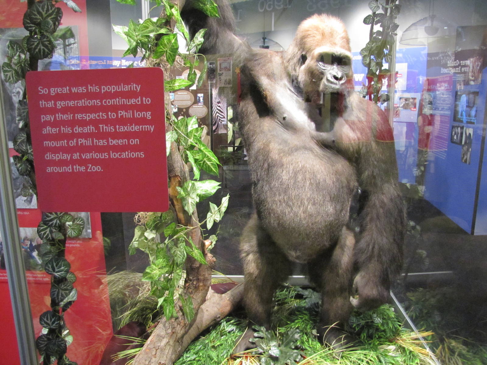 Saint Louis Zoo 2010 - Zootennial