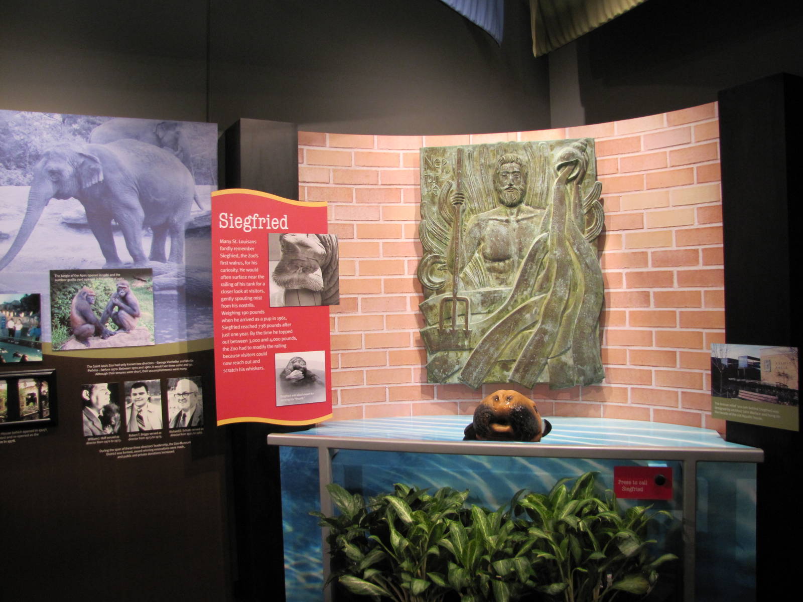 Saint Louis Zoo 2010 - Zootennial