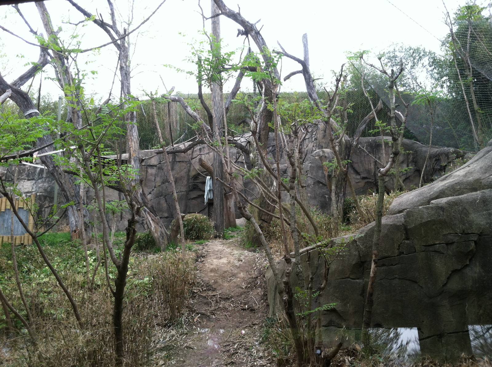 Saint Louis Zoo: Fragile Forest