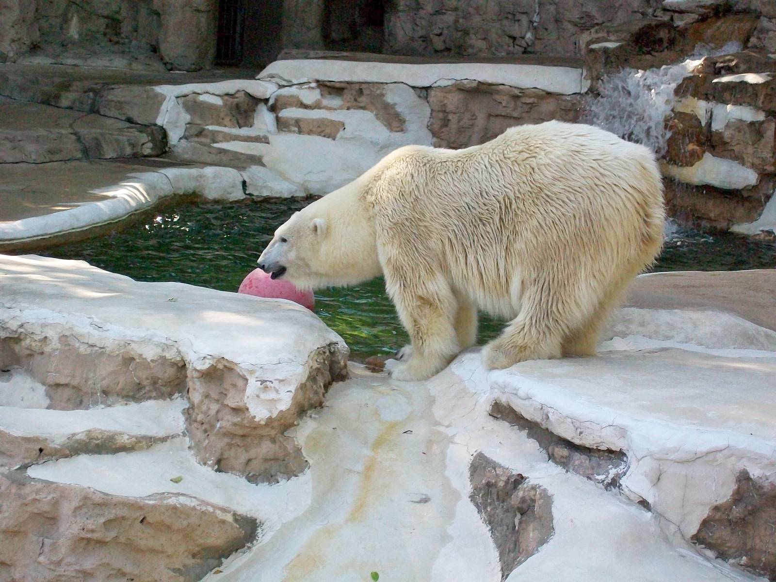 Saint Louis Zoo/October