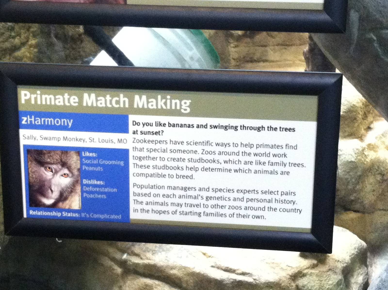 Saint Louis Zoo: Primate House