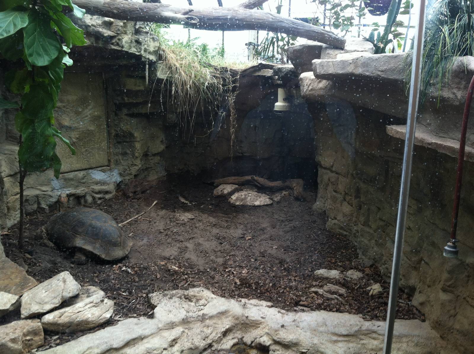 Saint Louis Zoo: Reptile House