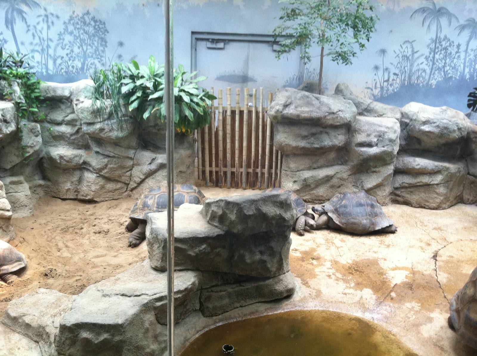 Saint Louis Zoo: Reptile House