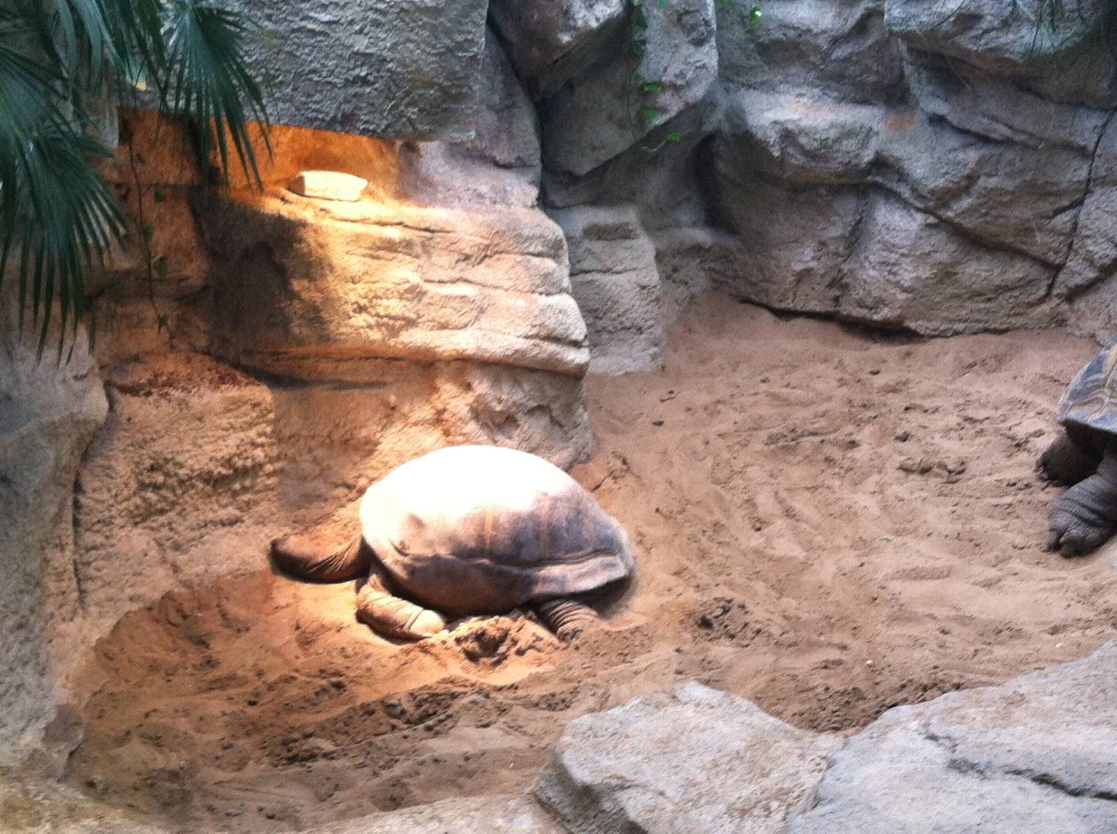 Saint Louis Zoo: Reptile House