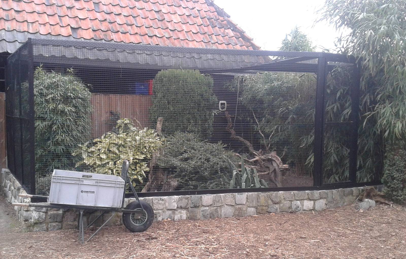 saki and common marmoset enclosure