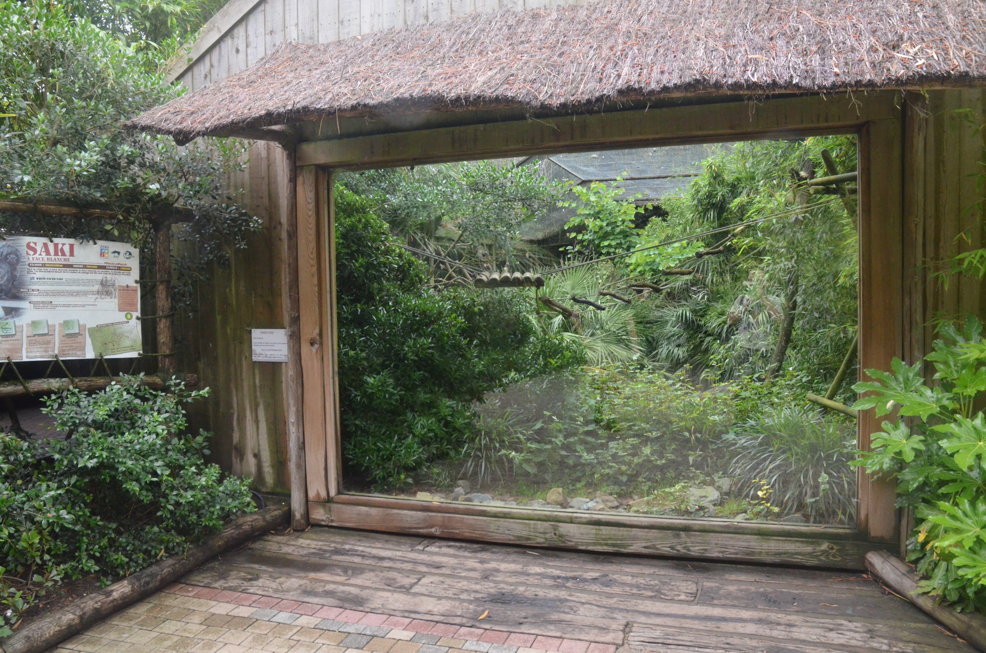Saki and Mixed Birds Enclosure at La Flèche, 11/06/18