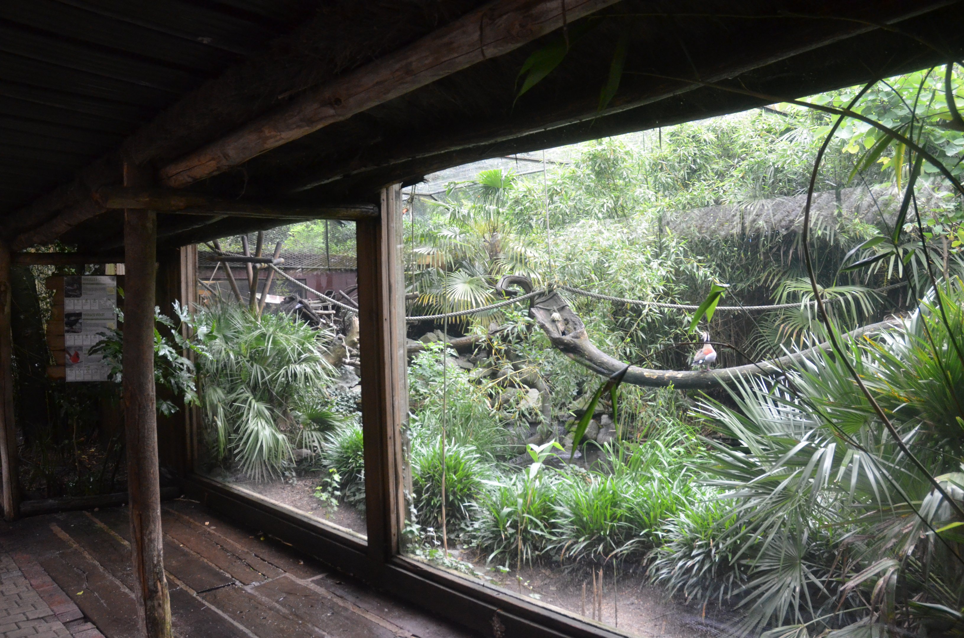Saki and Mixed Birds Enclosure at La Flèche, 11/06/18