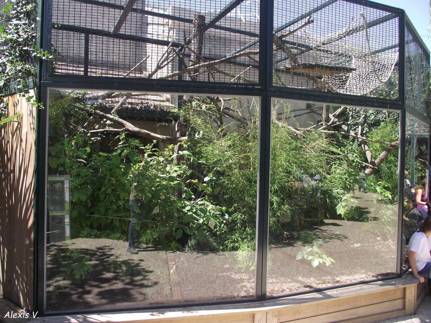 Saki and Neotropical Turtle outdoor enclosure - Zooparc de Beauval - 08/2022