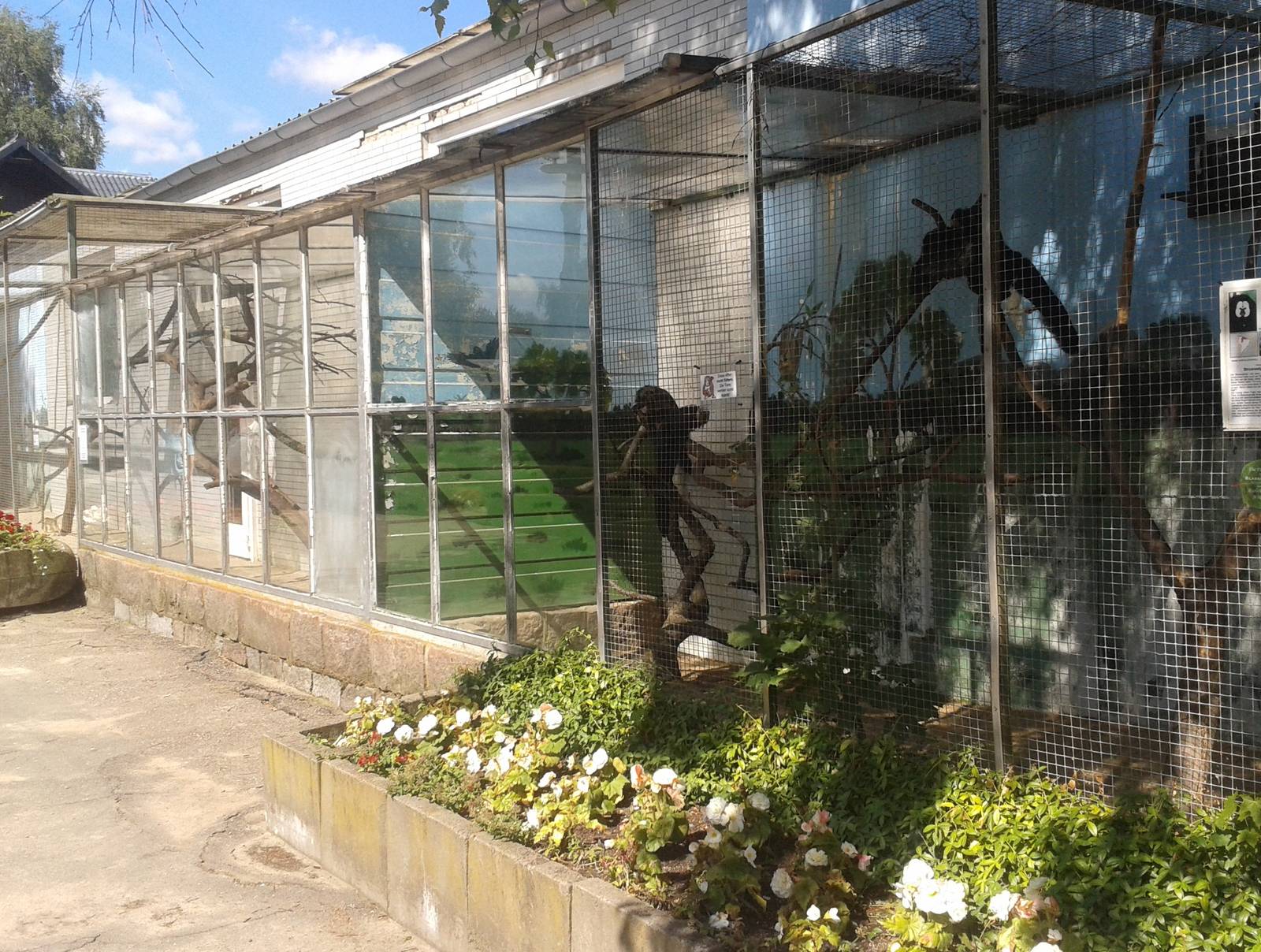 Saki and Squirrel monkey outdoor enclosures