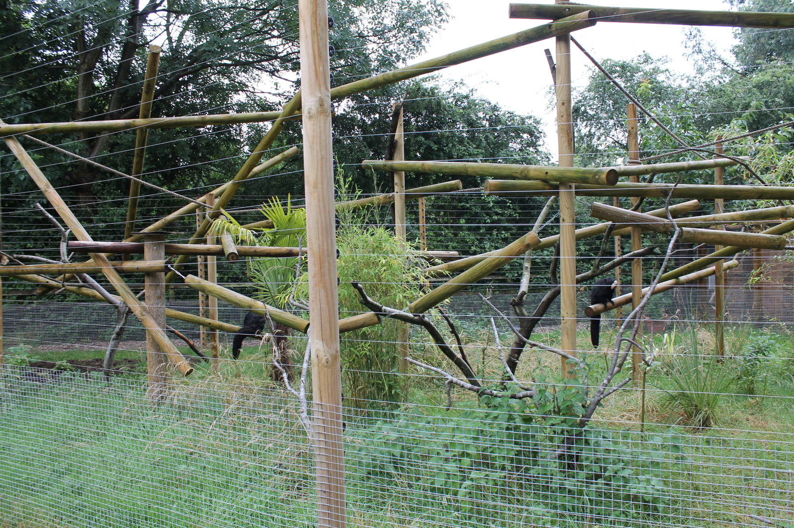 Saki Enclosure