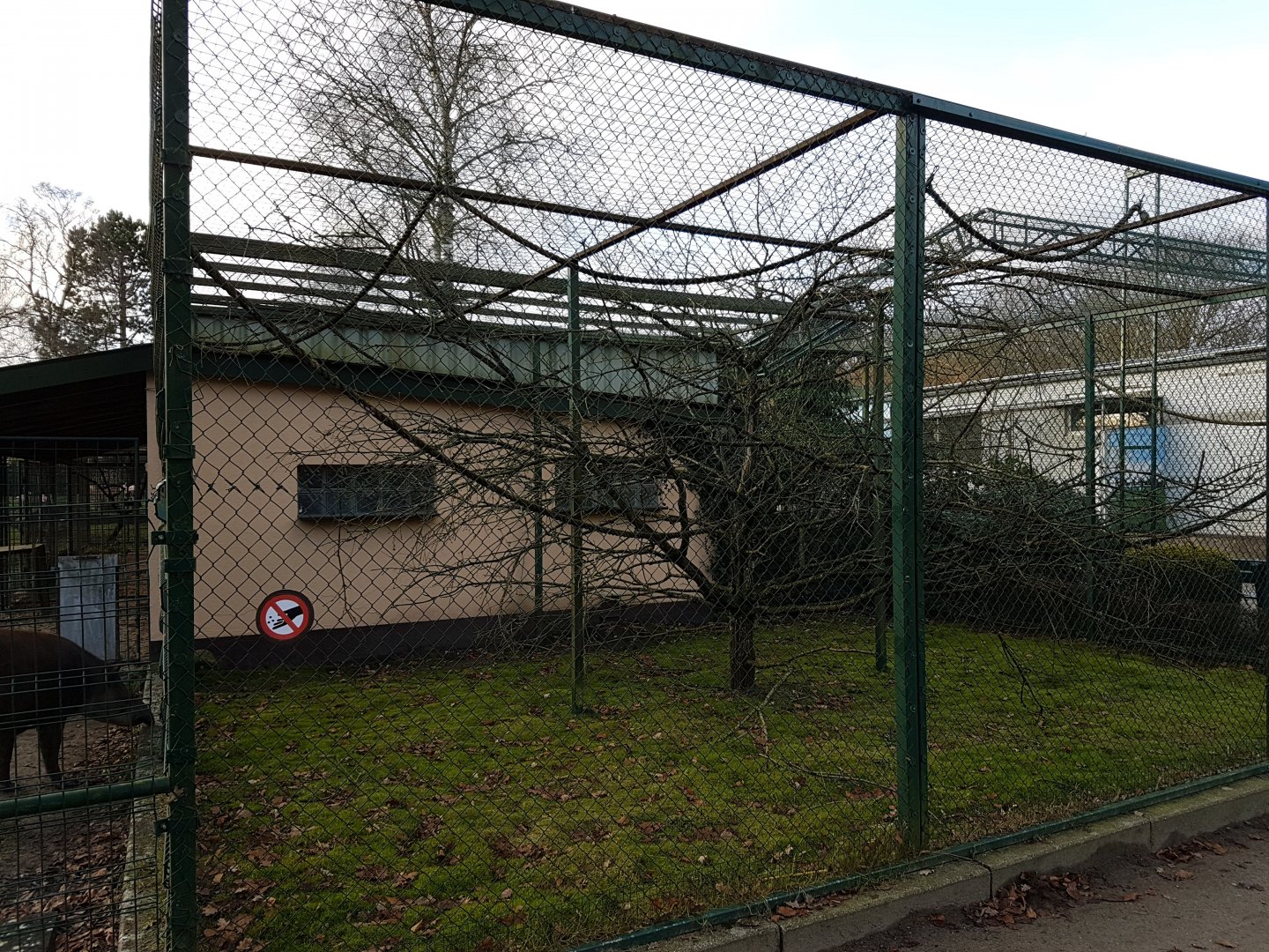 Saki-outdoor enclosure