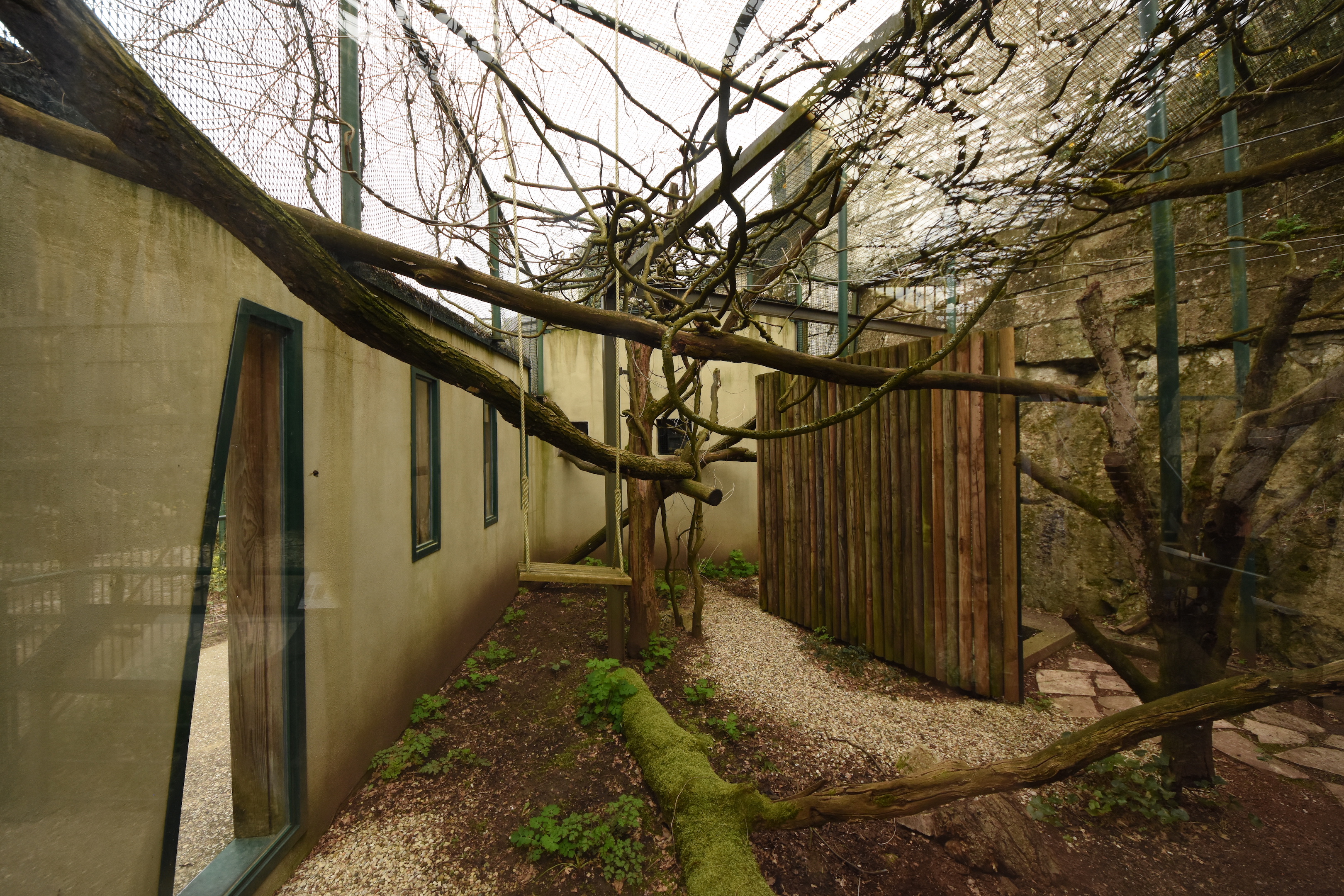 Saki + Pinche tamarin cage