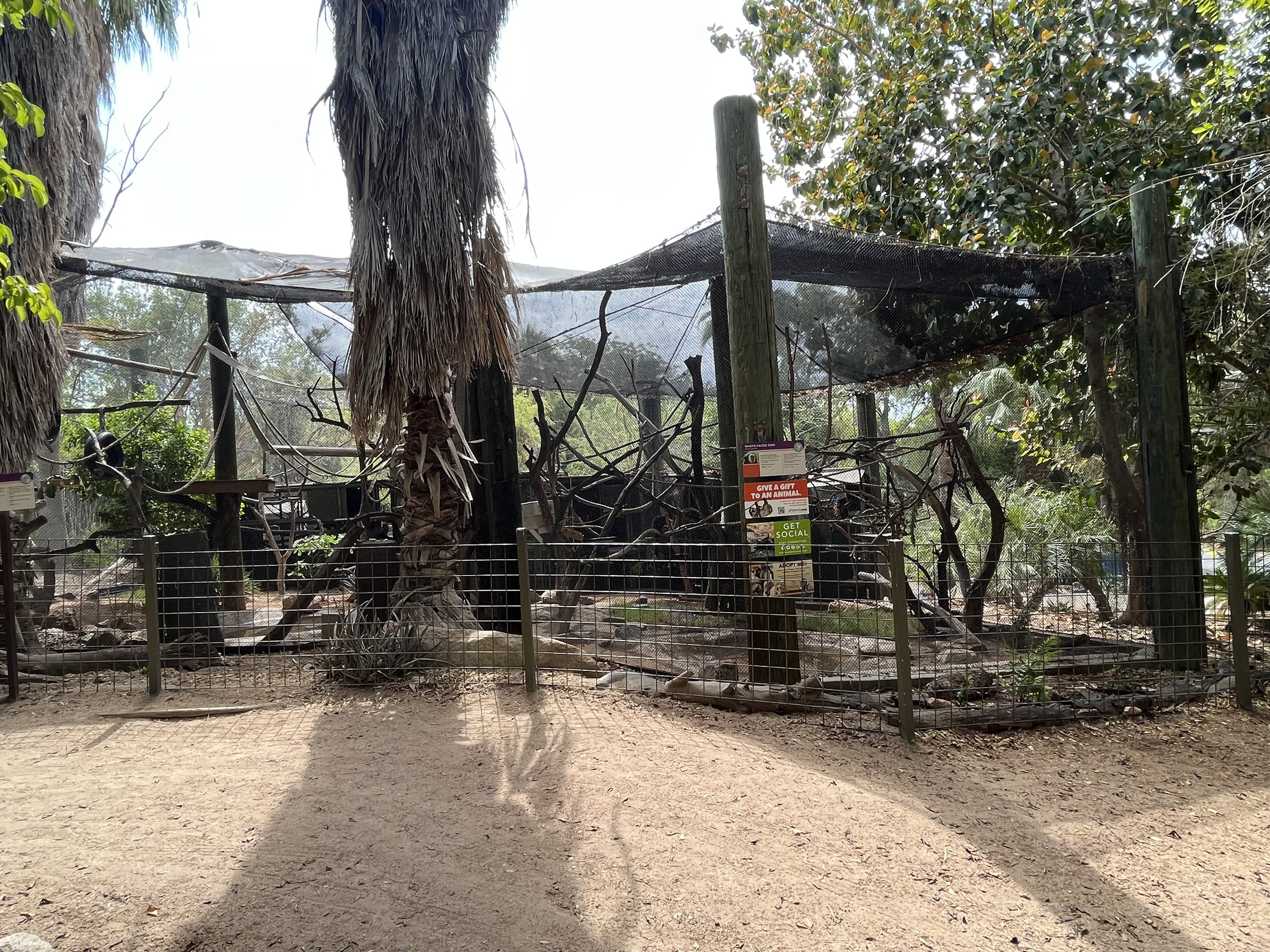 Saki + Spider Monkey Exhibits