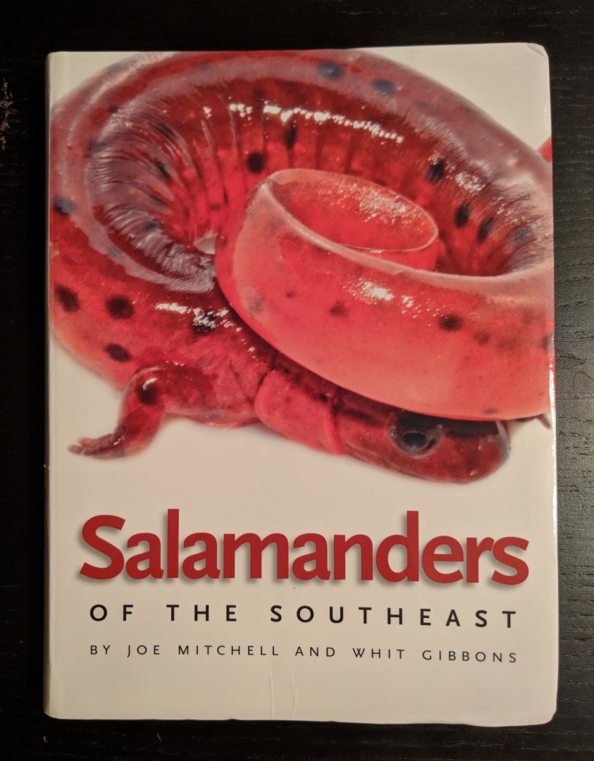 Salamanders of the Southeast