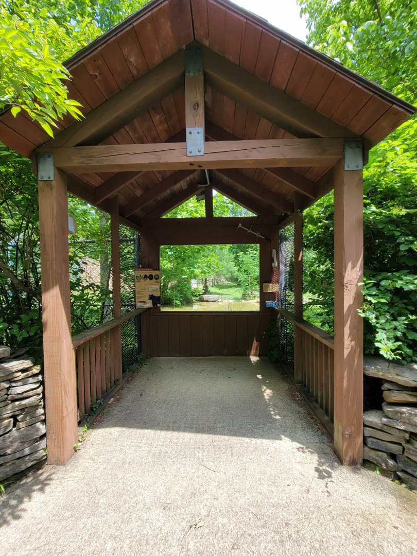 Salato - Another bear viewing spot