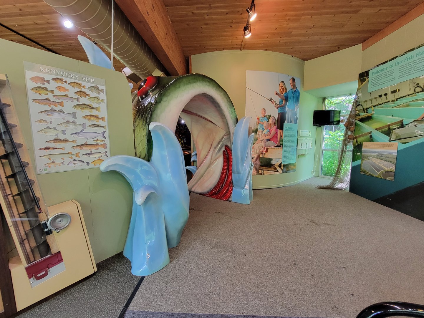 Salato - Back of fish arch